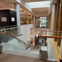 Novi Public Library - Novi