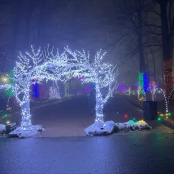 Pine Knob Music Theatre - Novi