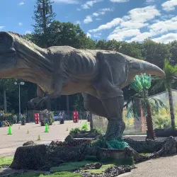 Pine Knob Music Theatre - Novi