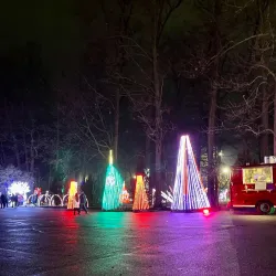 Pine Knob Music Theatre - Novi