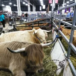 The Suburban Collection Showplace - Novi