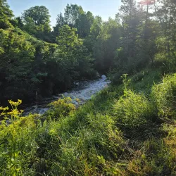 Bear River Valley Golf Club - Petoskey