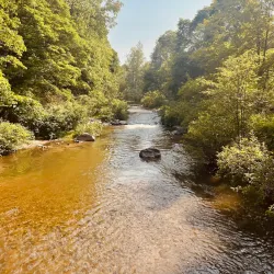 Bear River Valley Recreation Area - Petoskey
