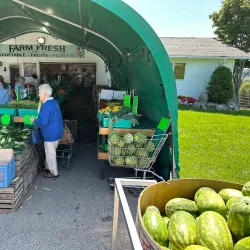 Petoskey Farmers Market - Petoskey