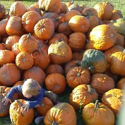Petoskey Farmers Market - Petoskey