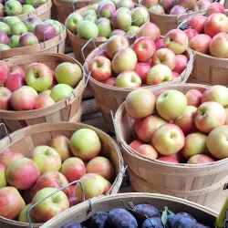 Petoskey Farmers Market - Petoskey