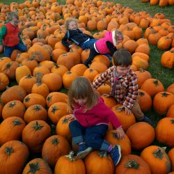 Petoskey Farmers Market - Petoskey
