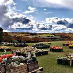 Petoskey Farmers Market - Petoskey