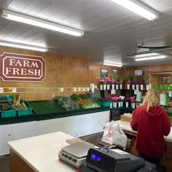 Petoskey Farmers Market - Petoskey