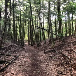 Petoskey State Park - Petoskey