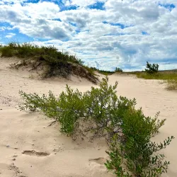Petoskey State Park - Petoskey