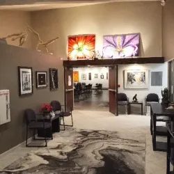 Plymouth Community Arts Council - Plymouth