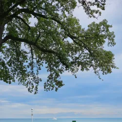 Water Street Pavilion - Port Huron