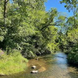 Celery Flats Historical Area - Portage