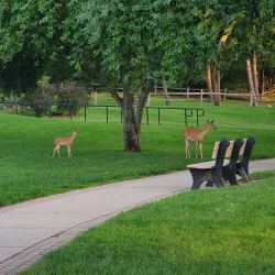 Celery Flats Historical Area - Portage