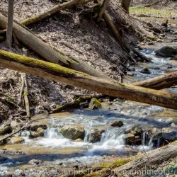 Kalamazoo Nature Center - Portage