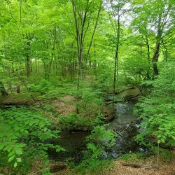 Kalamazoo Nature Center - Portage