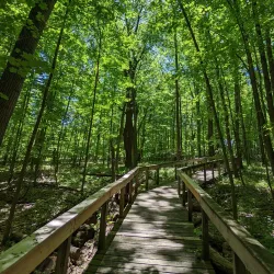 Kalamazoo Nature Center - Portage