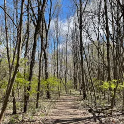Kalamazoo Nature Center - Portage