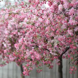 Portage District Library - Portage