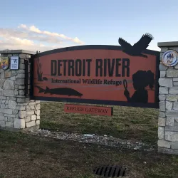 Detroit River International Wildlife Refuge (nearby) - River Rouge