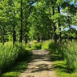 Bear Creek Nature Park - Royal Oak