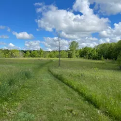 Bear Creek Nature Park - Royal Oak