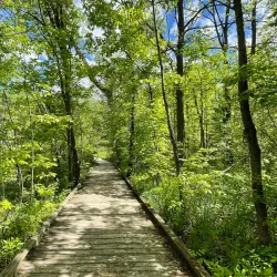 Bear Creek Nature Park - Royal Oak