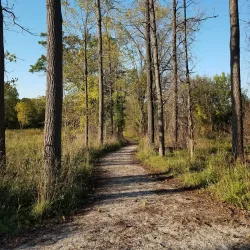 Bear Creek Nature Park - Royal Oak