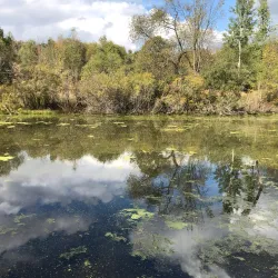 Bear Creek Nature Park - Royal Oak