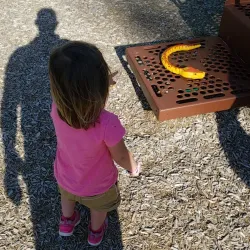 Clawson Park - Royal Oak