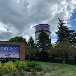 Detroit Zoo - Royal Oak