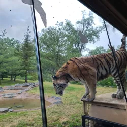 Detroit Zoo - Royal Oak