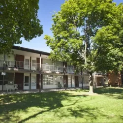 Main Street Royal Oak - Royal Oak