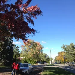 Main Street Royal Oak - Royal Oak