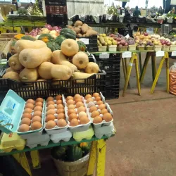 Royal Oak Farmers Market - Royal Oak