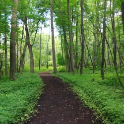 Ojibway Nature Center - Saginaw