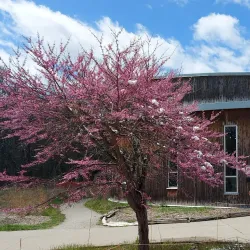 Ojibway Nature Center - Saginaw