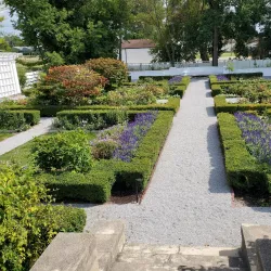 Saginaw Art Museum - Saginaw