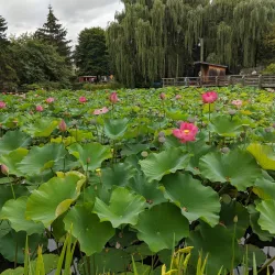 Saginaw Children's Zoo - Saginaw