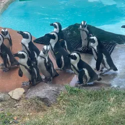 Saginaw Children's Zoo - Saginaw