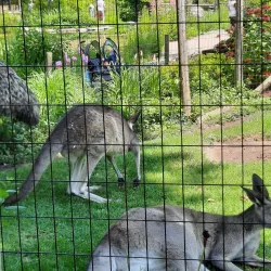 Saginaw Children's Zoo - Saginaw