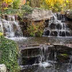 Saginaw Children's Zoo - Saginaw