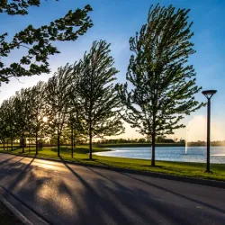 Saginaw Valley State University Arboretum - Saginaw