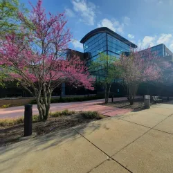 Saginaw Valley State University Arboretum - Saginaw