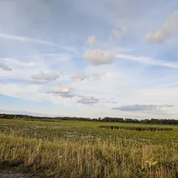 Shiawassee National Wildlife Refuge - Saginaw