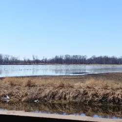 Shiawassee National Wildlife Refuge - Saginaw