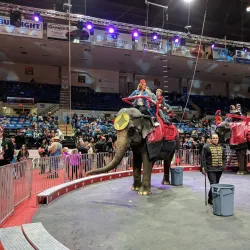 The Dow Event Center - Saginaw