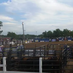 Clinton County Fairgrounds - Saint Johns