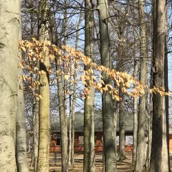 Downtown Saint Johns - Saint Johns